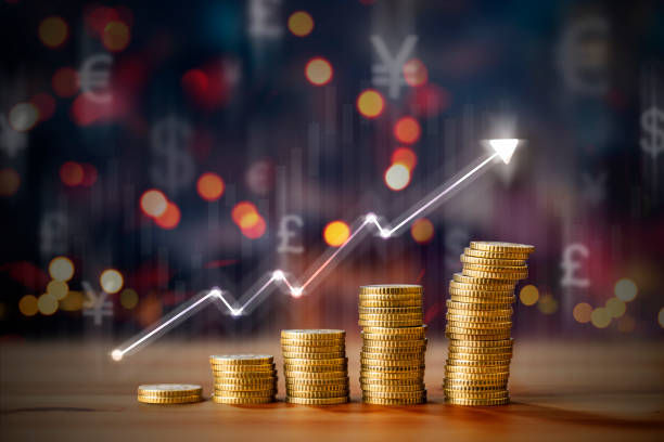 概述立陶宛MEI牌照的办理条件有哪些？